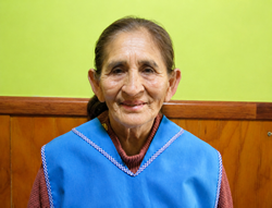 Elva